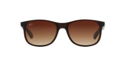 Ray-Ban-RB4202-607313-d000
