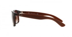 Ray-Ban-RB4202-607313-d090